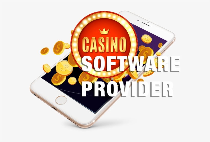 Sweepstakes Software
